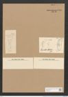 Surirella moelleriana Grun. (de-Toni-Nr.: Genus 53, Species 2376) Zeichnungen Sammlung Grunow Nr. 4780 (NHMW-BOT-W0372912)